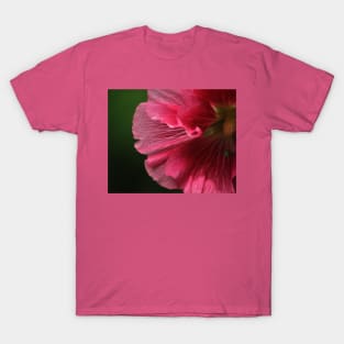 Hollyhock 3 T-Shirt